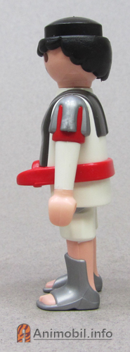 Boys Series Twelve 12 Roman