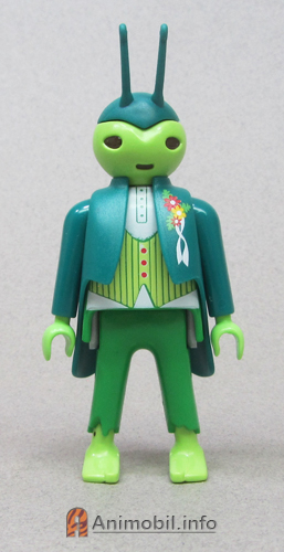 Boys Series Fifteen 3 Grasshopper