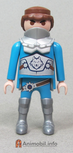 Boys Series 24 Five Wolf Knight