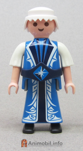 Boys Series Eight 9 Wizard