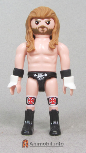 WWE Series 1 Triple H