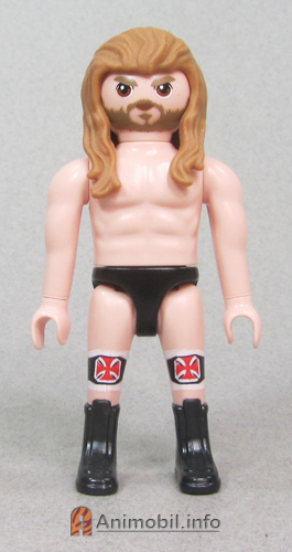 WWE Series 1 Triple H