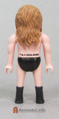 WWE Series 1 Triple H