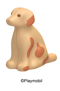 Dog Sitting Tan and Brown 123