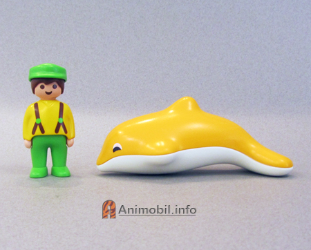 Dolphin 123