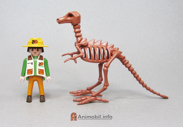 Albertosaurus Skeleton 2 Brown