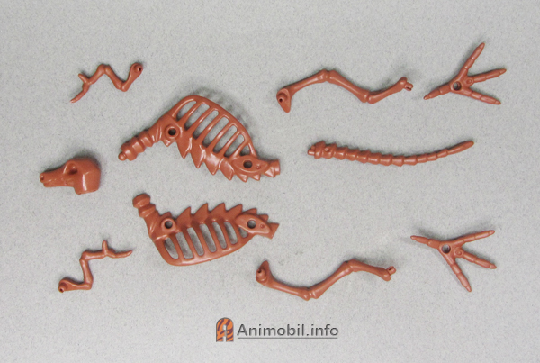 Albertosaurus Skeleton 2 Brown