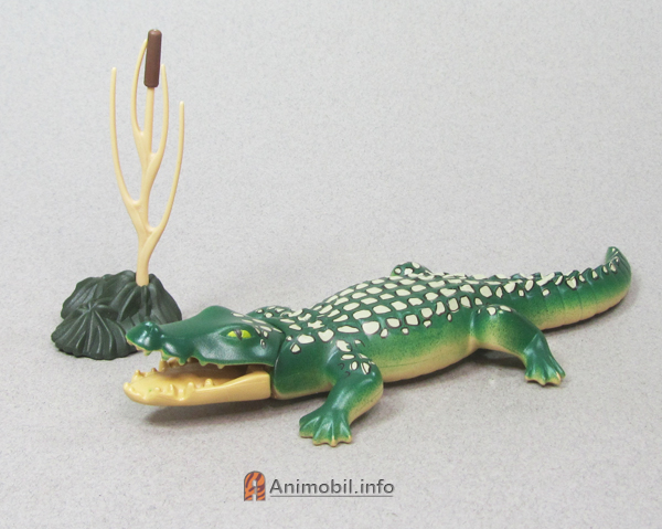 Alligator Dark Green and Tan