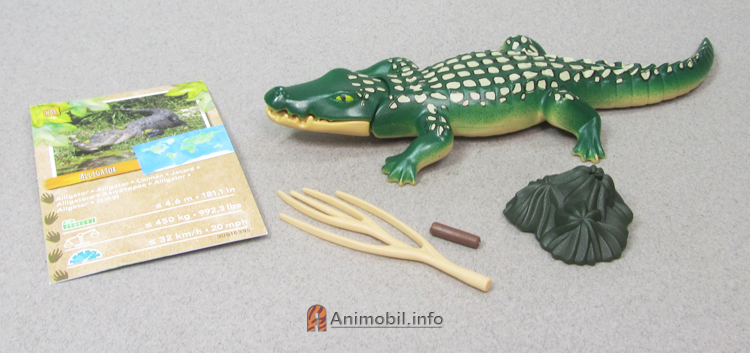 Alligator Dark Green and Tan