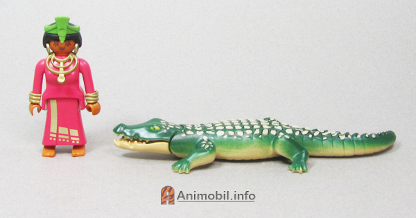 Alligator Dark Green and Tan