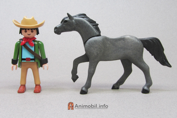 Horse Arabian Dark Grey