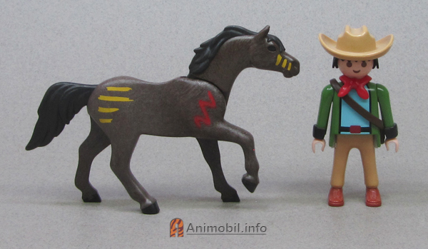 Horse Arabian Black Indian Paint