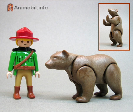 Bear Closed Mouth