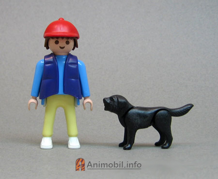 Dog Bearded Black
