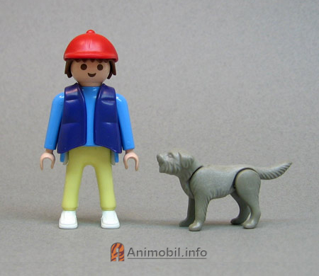 Dog Bearded Grey