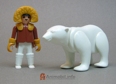 Polar Bear 1