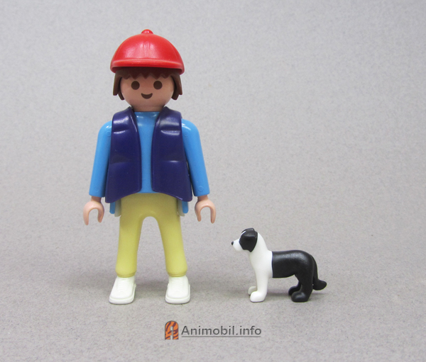 Border Collie Puppy 2