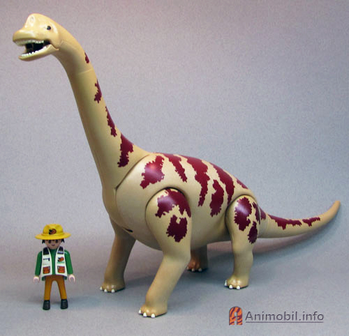 Brachiosaurus 2
