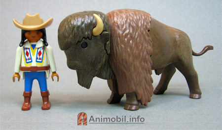 Buffalo 2