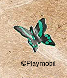 Butterfly 14 Black and Teal