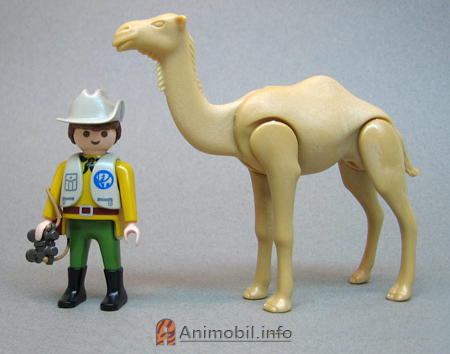 Details about   Carrier White > Dromedary Camel Playmobil To Arabian Bedouin Klicky Color RAR 