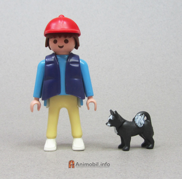 Chihuahua Black