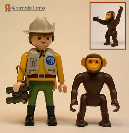 Chimpanzee