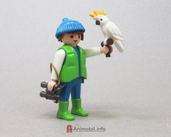 Cockatoo