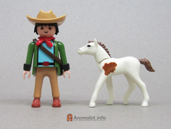 Colt 3 Pinto 2