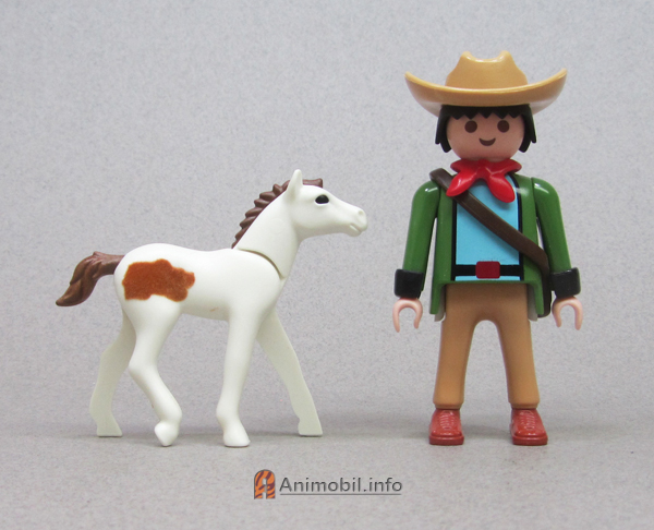 Colt 3 Pinto 2