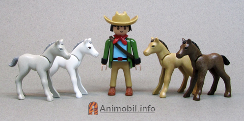Colt Version 2