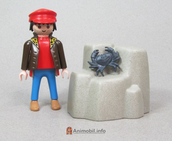 Crab Grey
