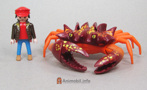 Crab Giant Red