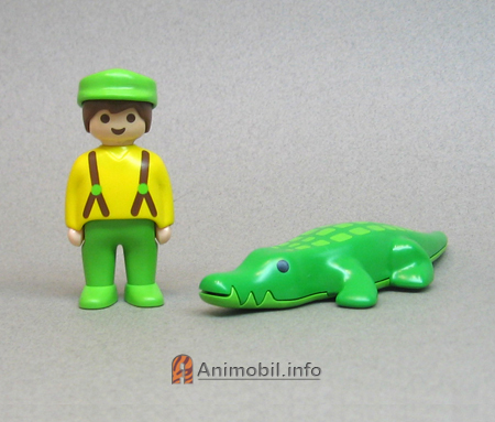 Alligator Crocodile 123