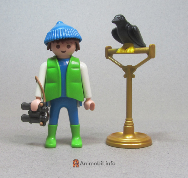 Crow Yellow Feet
