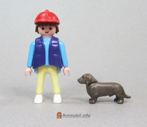 Dachshund Dark Brown