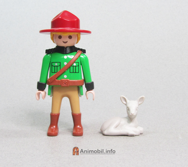 Deer Fawn Lying Grey