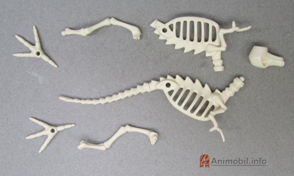 Albertosaurus Skeleton