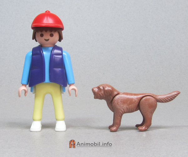 Dog Bearded Brown