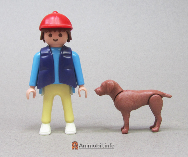 German Shorthair Pointer Chestnut