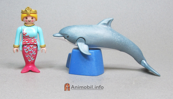 Dolphin 3
