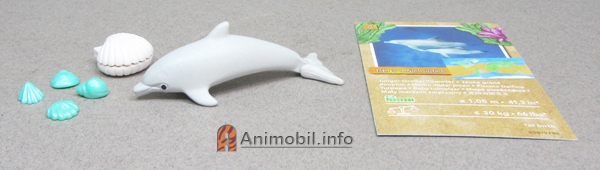 Dolphin Baby Version 3