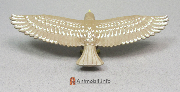 Eagle Brown Wings Out 2