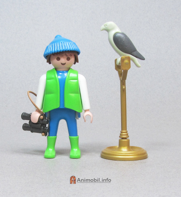 Falcon Grey and Grey