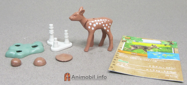 Deer Fawn Tan Spotted 2