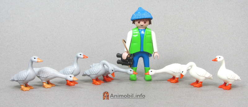 Geese