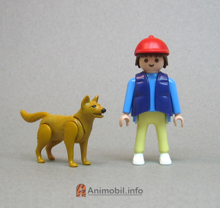 German Shepherd 1 Tan