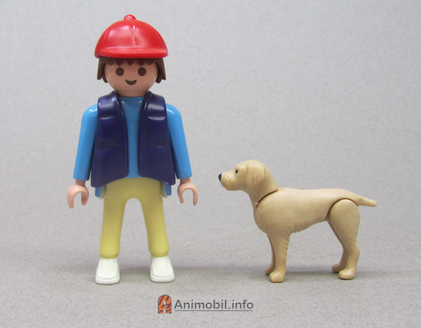 German Shorthair Pointer Tan