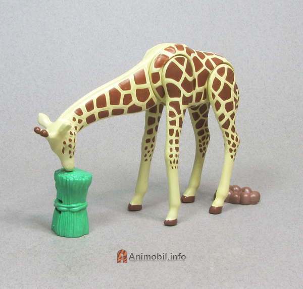 Giraffe 3