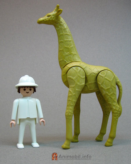 Giraffe Color Tan